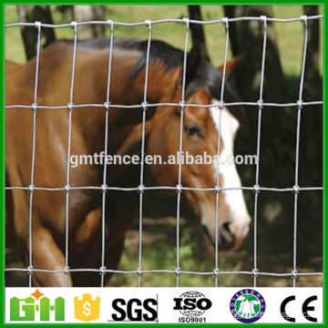 Factory Supply Grassland Fence/ Sheep Wire Mesh fence/Field Fence